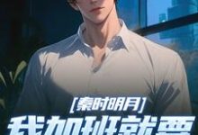 秦时明月:我加班就要被扣经验值免费阅读,秦时明月:我加班就要被扣经验值章节目录-够力荐小说推荐网
