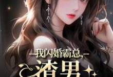 哪里能找到我闪婚霸总,渣男他不干了小说的最新更新和免费章节?-够力荐小说推荐网