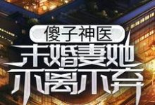《傻子神医:未婚妻她不离不弃》全集免费在线阅读(楚元宋南伊)-够力荐小说推荐网