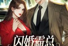 闪婚霸总，只虐渣不谈情傅耘周赫泽，闪婚霸总，只虐渣不谈情小说免费阅读-够力荐小说推荐网