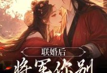 《联婚后，将军你别太心动》小说崔琳琅云铮章节章节免费在线阅读-够力荐小说推荐网
