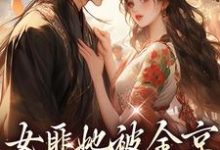女匪她被全京权贵求娶了这本小说在哪里可以看?哪里有免费试读章节?-够力荐小说推荐网