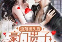 小说《流落街头后，豪门贵子成了爹系男友》章节阅读-够力荐小说推荐网