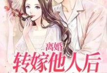 完结版《离婚转嫁他人后,渣总急疯了》在线免费阅读-够力荐小说推荐网