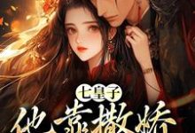 已完结小说《七皇子他靠撒娇博我欢心》章节免费阅读-够力荐小说推荐网