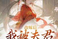改嫁后，我被夫君硬宠上天小说无弹窗阅读的网站推荐-够力荐小说推荐网