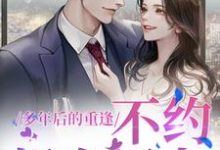 多年后的重逢,不约,姐有男友小说全文阅读需要付费吗?寻找免费资源-够力荐小说推荐网