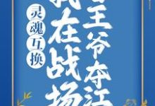 完结版《灵魂互换:我在战场替王爷夺江山》章节目录在线阅读-够力荐小说推荐网