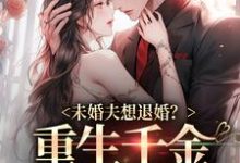 宋芸齐墨南小说在线章节免费阅读(未婚夫想退婚?重生千金不嫁了!无弹窗无删减)-够力荐小说推荐网