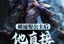 《被逼娶公主后，他直接坐了皇位》小说章节在线试读，《被逼娶公主后，他直接坐了皇位》最新章节目录-够力荐小说推荐网