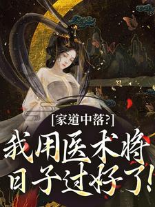 家道中落？我用医术将日子过好了！小说，家道中落？我用医术将日子过好了！章节在线阅读