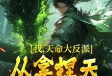我,天命大反派,从拿捏天道开始小说有没有完整的免费版本在线阅读?-够力荐小说推荐网