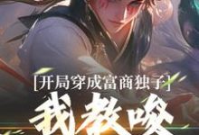 开局穿成富商独子,我教唆老爹造反小说的免费阅读版本在哪里可以找到?-够力荐小说推荐网