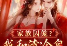 家族囚笼？我和清冷皇子夜夜笙歌这本小说怎么样？免费在线阅读试试-够力荐小说推荐网