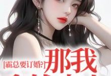求霸总要订婚?那我拿钱走人小说免费资源-够力荐小说推荐网