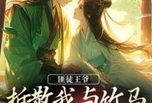 完结版《匪徒王爷拆散我与竹马,逼我嫁他!》免费阅读-够力荐小说推荐网