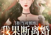 已完结小说《拒当对照组,我果断离婚逃离渣夫》章节在线阅读-够力荐小说推荐网