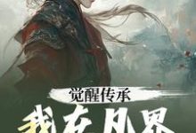 王虹陆沉小说觉醒传承，我在凡界斩妖除魔在线阅读-够力荐小说推荐网