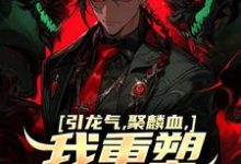 引龙气,聚麟血,我重塑天灵血脉小说,引龙气,聚麟血,我重塑天灵血脉章节在线阅读-够力荐小说推荐网