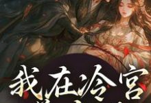 完结版《我在冷宫养皇子》在线免费阅读-够力荐小说推荐网