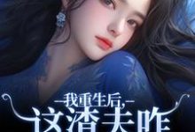 我重生后,这渣夫咋还换人格了沈行舟林菀宁在线章节免费阅读-够力荐小说推荐网