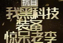抗日:我黑科技装备惊呆老李免费阅读,抗日:我黑科技装备惊呆老李章节目录-够力荐小说推荐网