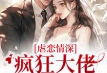 虐恋情深:疯狂大佬追妻火葬场小说,虐恋情深:疯狂大佬追妻火葬场最新章节-够力荐小说推荐网
