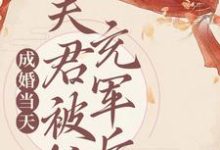 谢皎秦司珩小说成婚当天，夫君被抓充军后在线阅读章节-够力荐小说推荐网