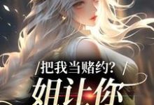 小说《把我当赌约?姐让你跪地求饶》章节免费阅读-够力荐小说推荐网