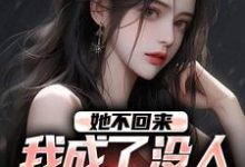 叶轻池裴小说叫什么（她不回来，我成了没人敢惹的混混免费阅读）-够力荐小说推荐网