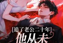 追了老公二十年,他从未认真对待我宋昔陆宴洲,追了老公二十年,他从未认真对待我在线无弹窗阅读-够力荐小说推荐网