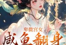 小说《卑微宫女，咸鱼翻身成宠妃》在线章节阅读-够力荐小说推荐网