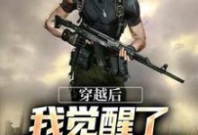 穿越后,我觉醒了敌意值系统免费阅读,穿越后,我觉醒了敌意值系统章节在线阅读-够力荐小说推荐网