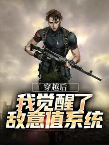 穿越后，我觉醒了敌意值系统免费阅读，穿越后，我觉醒了敌意值系统章节在线阅读