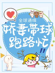 全球通缉：娇妻带球跑路忙章节免费在线阅读，沈云嫣凌亦完结版