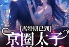 离婚期已到！京圈太子卑微求爱小说的无弹窗阅读体验，寻找免费阅读网站-够力荐小说推荐网