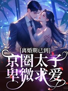 离婚期已到！京圈太子卑微求爱小说的无弹窗阅读体验，寻找免费阅读网站