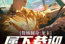完整版的赘婿翻身：龙主，属下恭迎您归位小说在哪里可以免费读到？-够力荐小说推荐网