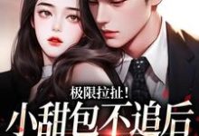 极限拉扯！小甜包不追后男神他慌了章节免费在线阅读，姜至季川完结版-够力荐小说推荐网