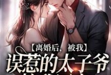小说《离婚后，被我误惹的太子爷接我回家》在线章节阅读-够力荐小说推荐网