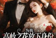 小说《为我,高岭之花放下身份为爱发疯》章节免费阅读-够力荐小说推荐网