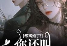 都离婚了！你还叫我夫人干嘛小说，都离婚了！你还叫我夫人干嘛林书音傅璟年-够力荐小说推荐网
