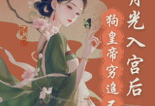 宫斗？这皇帝根本不让我玩小说的无弹窗阅读体验，寻找免费阅读网站-够力荐小说推荐网