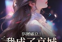 闪婚霸总，我成了京城千亿宠儿小说阅读，闪婚霸总，我成了京城千亿宠儿完结版-够力荐小说推荐网