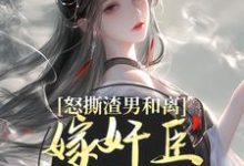 怒撕渣男和离，嫁奸臣高攀不起小说，怒撕渣男和离，嫁奸臣高攀不起章节在线阅读-够力荐小说推荐网