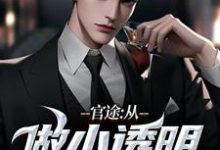 官途:从做小透明开始这本小说怎么样?免费在线阅读试试-够力荐小说推荐网