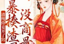 清纯侍妾开了窍，暴揍渣男没商量（凌曦沈晏）在线免费阅读-够力荐小说推荐网
