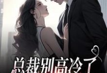 《总裁别高冷了，夫人离家出走了》小说精彩章节免费试读，谢之南林乔小说在线阅读-够力荐小说推荐网