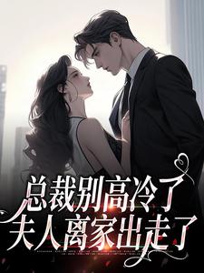 小说《总裁别高冷了，夫人离家出走了》免费阅读