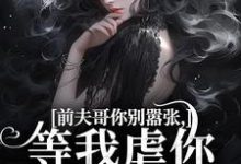 已完结小说《前夫哥你别嚣张，等我虐你就老实了》在线阅读-够力荐小说推荐网